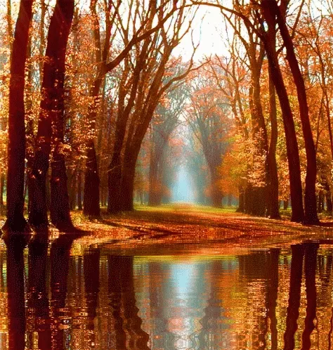 Осень для влюбленных