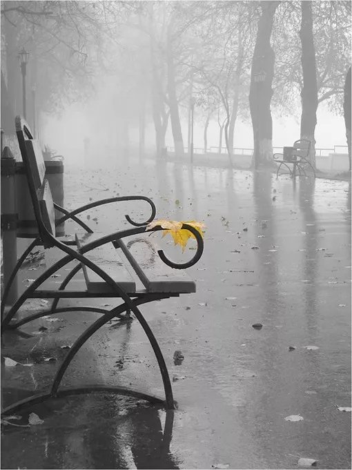 Осень для влюбленных