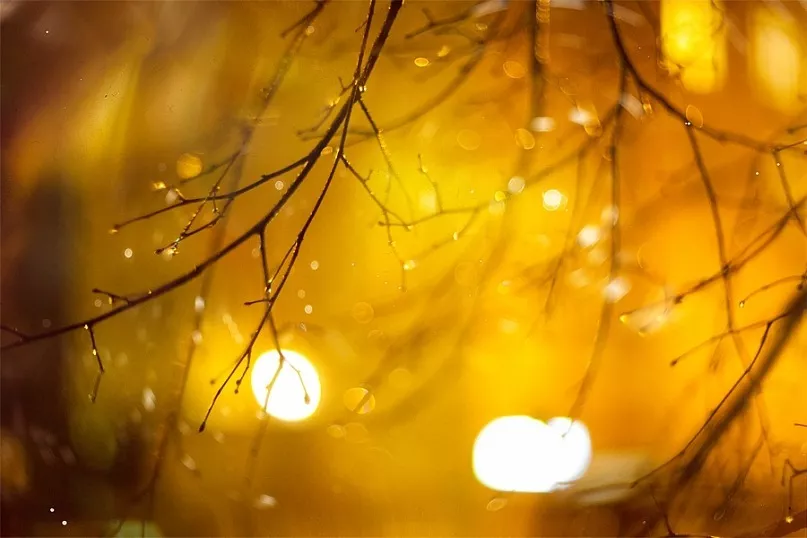 Осень для влюбленных