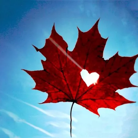 Осень для влюбленных