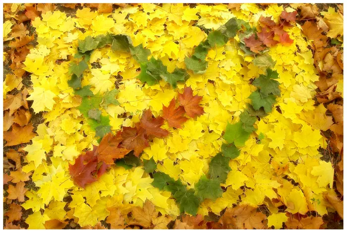 Осень для влюбленных