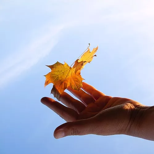 Осень для влюбленных