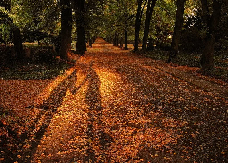 Осень для влюбленных