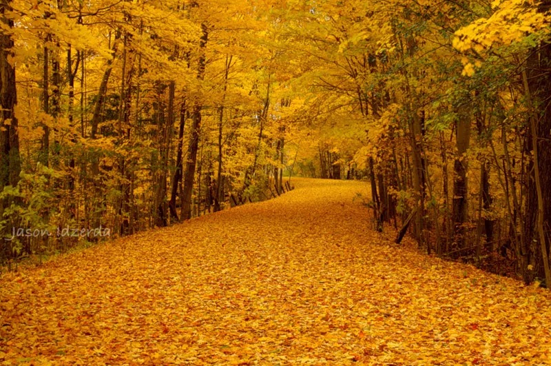 Осень для влюбленных