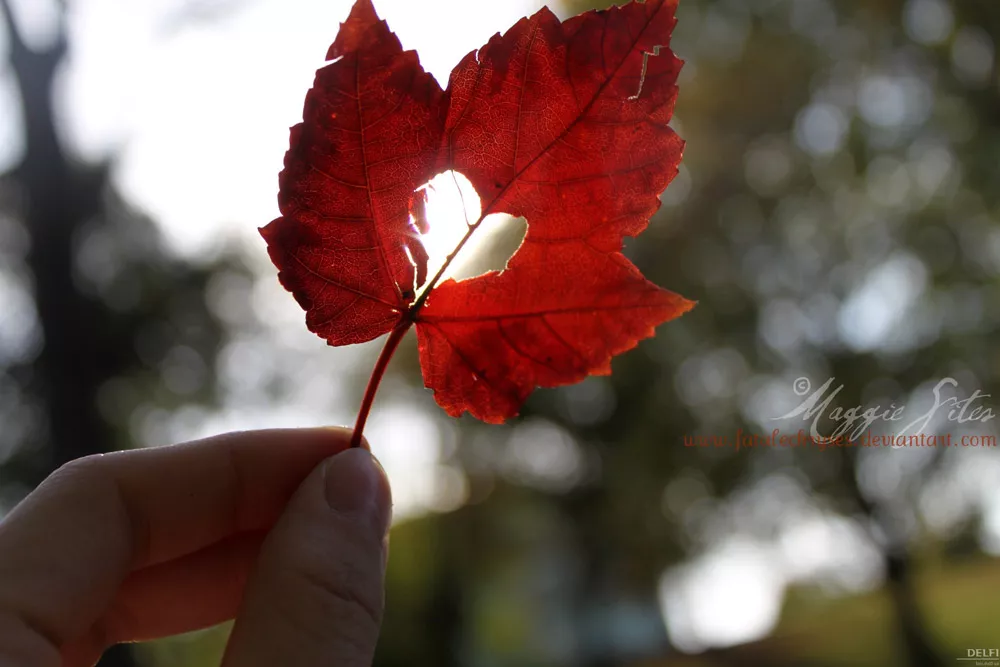 Осень для влюбленных