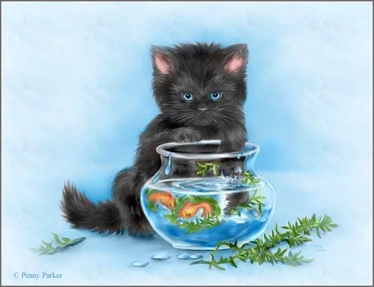 Прекрасный мир Penny Parker