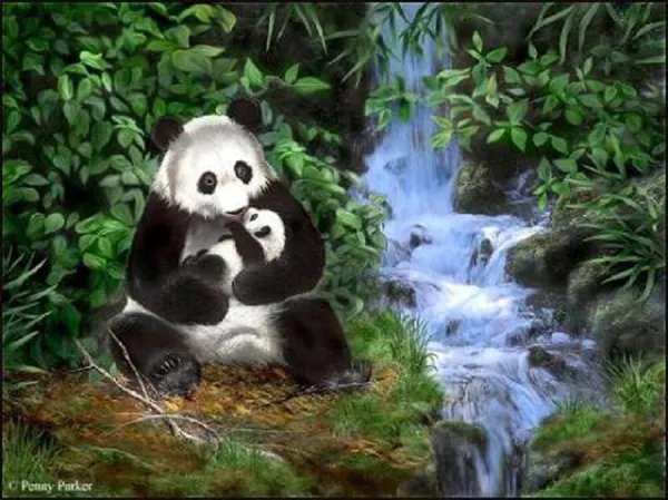 Прекрасный мир Penny Parker