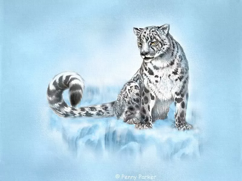 Прекрасный мир Penny Parker