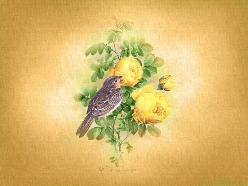 Прекрасный мир Penny Parker