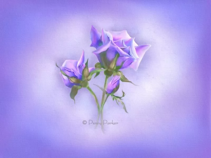 Прекрасный мир Penny Parker