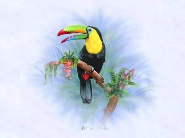 Прекрасный мир Penny Parker