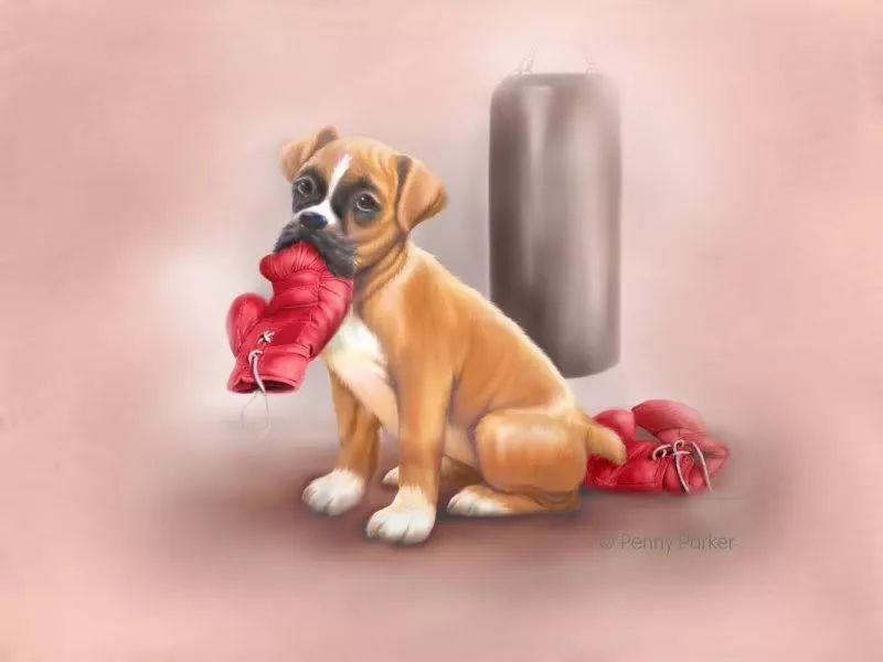 Прекрасный мир Penny Parker