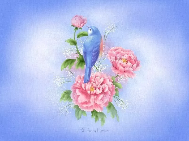 Прекрасный мир Penny Parker