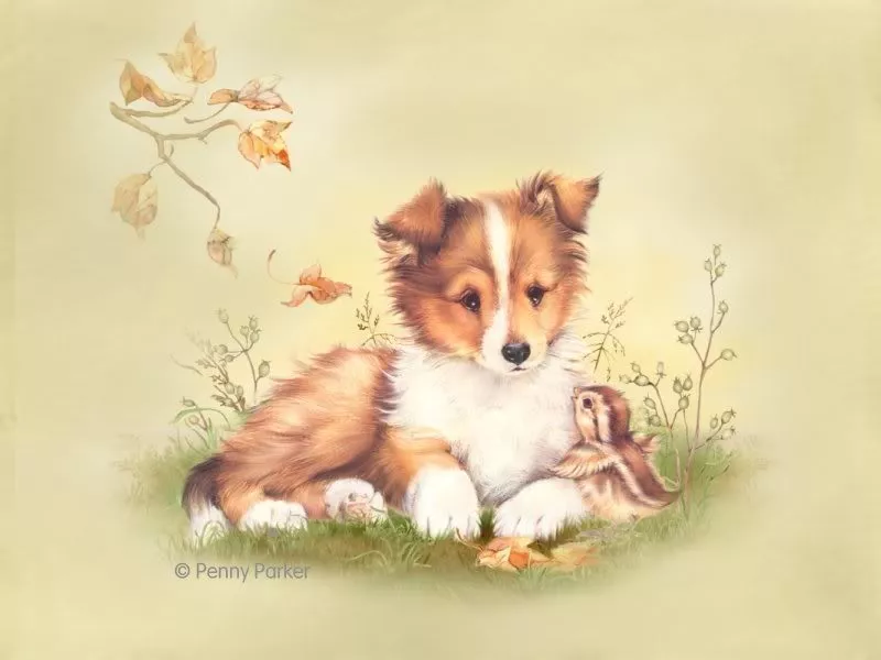 Прекрасный мир Penny Parker