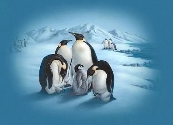 Прекрасный мир Penny Parker