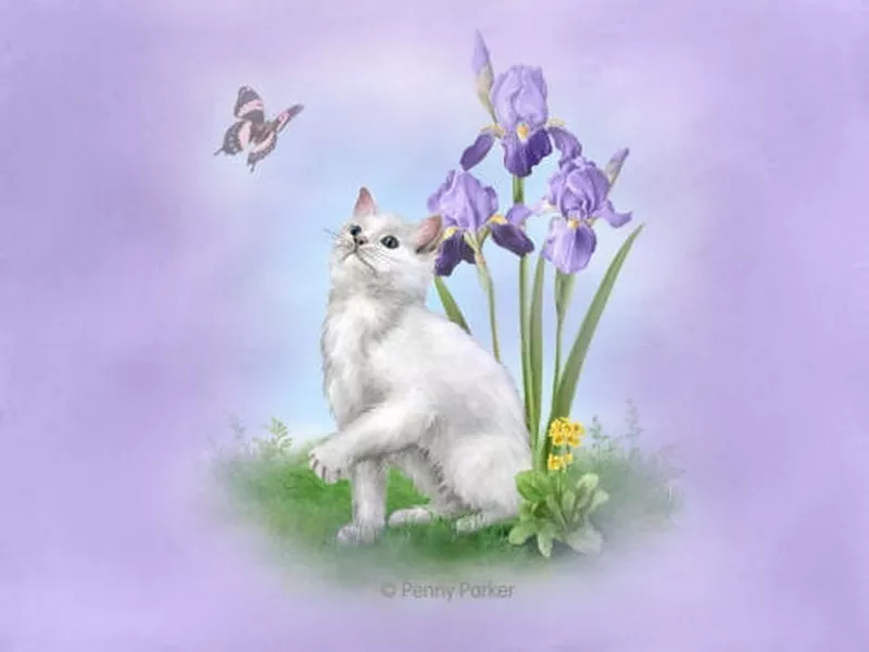 Прекрасный мир Penny Parker