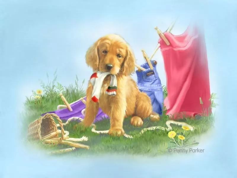 Прекрасный мир Penny Parker