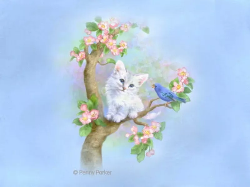 Прекрасный мир Penny Parker