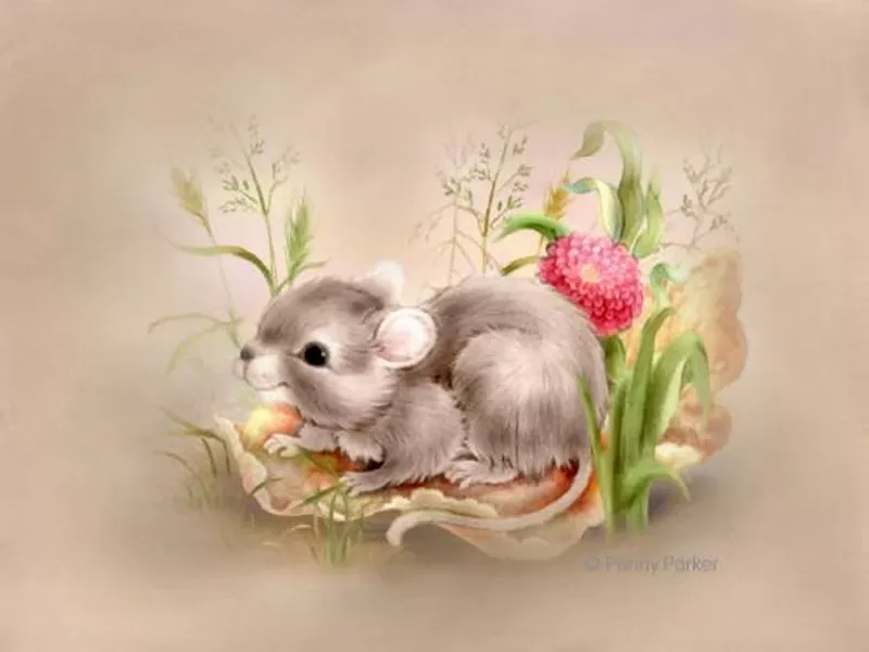 Прекрасный мир Penny Parker