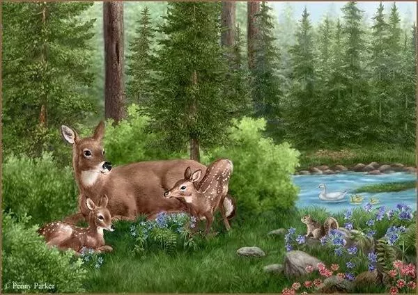 Прекрасный мир Penny Parker