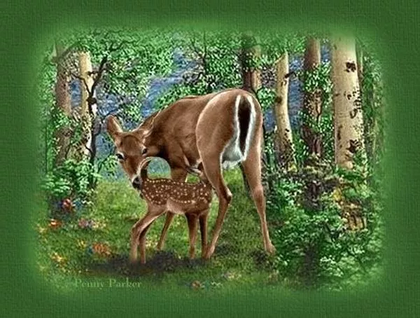 Прекрасный мир Penny Parker