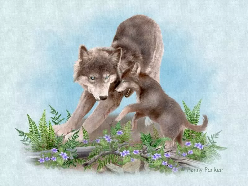 Прекрасный мир Penny Parker