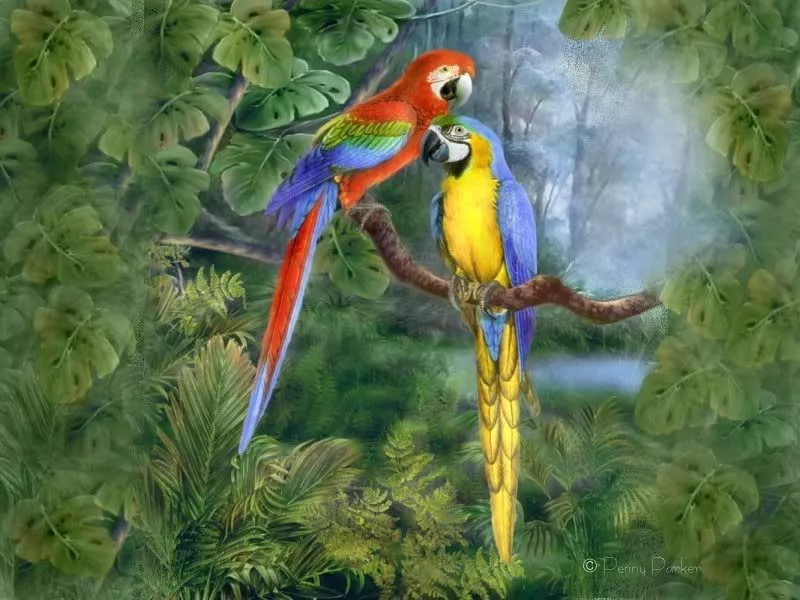 Прекрасный мир Penny Parker