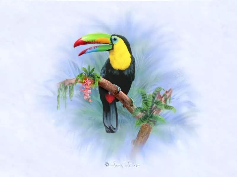 Прекрасный мир Penny Parker