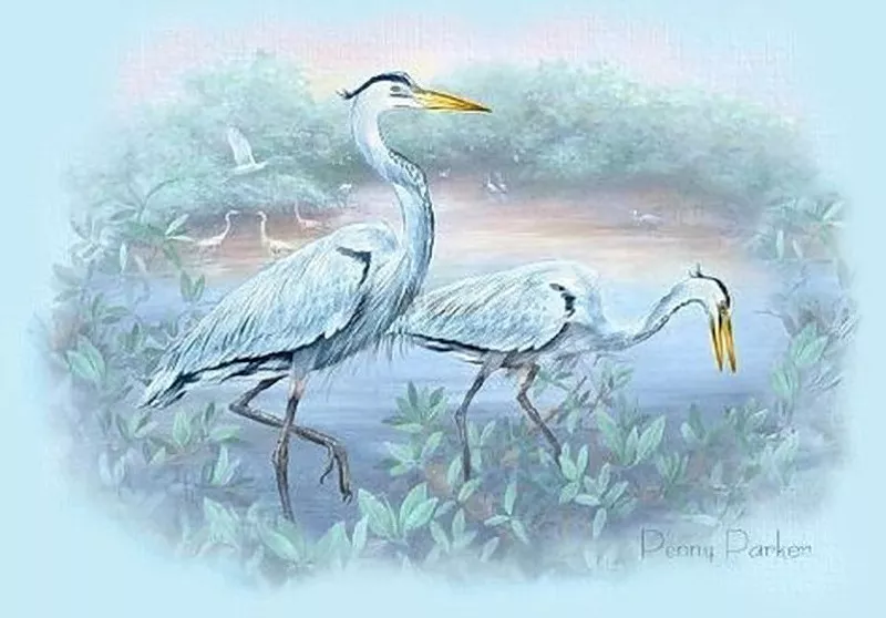 Прекрасный мир Penny Parker