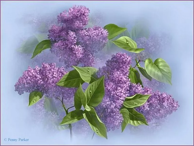 Прекрасный мир Penny Parker