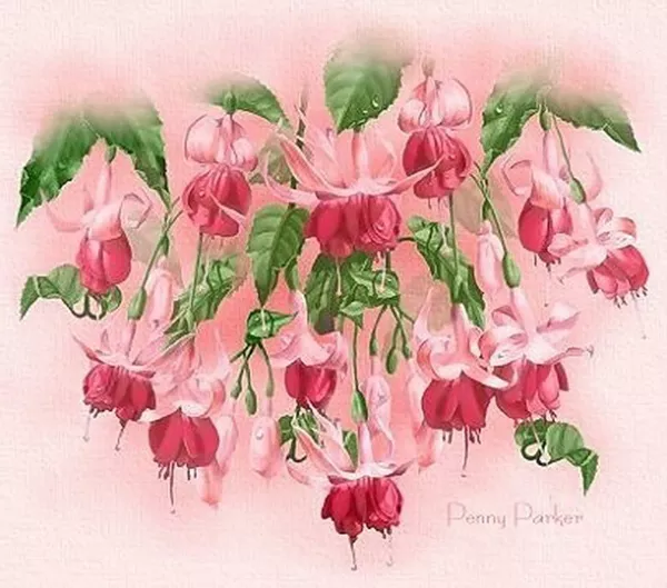 Прекрасный мир Penny Parker