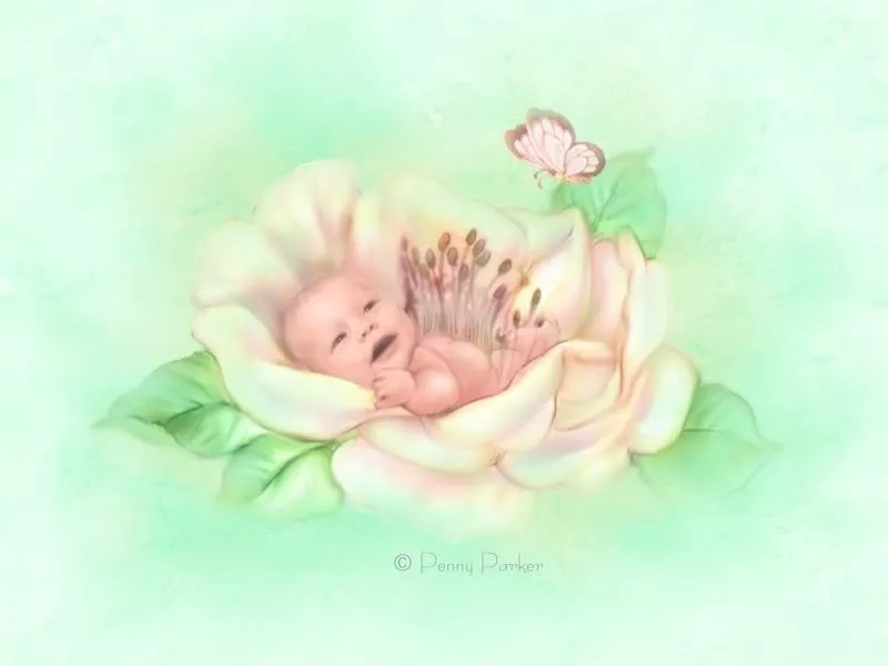 Прекрасный мир Penny Parker