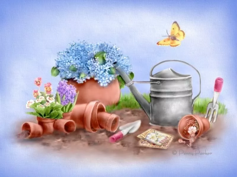 Прекрасный мир Penny Parker