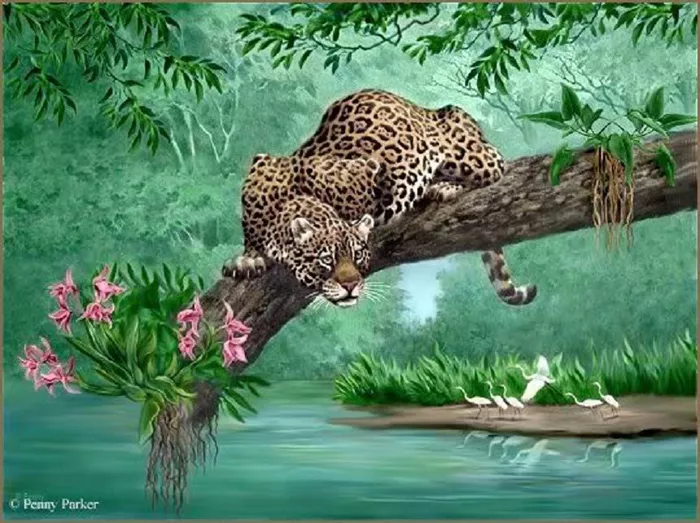 Прекрасный мир Penny Parker