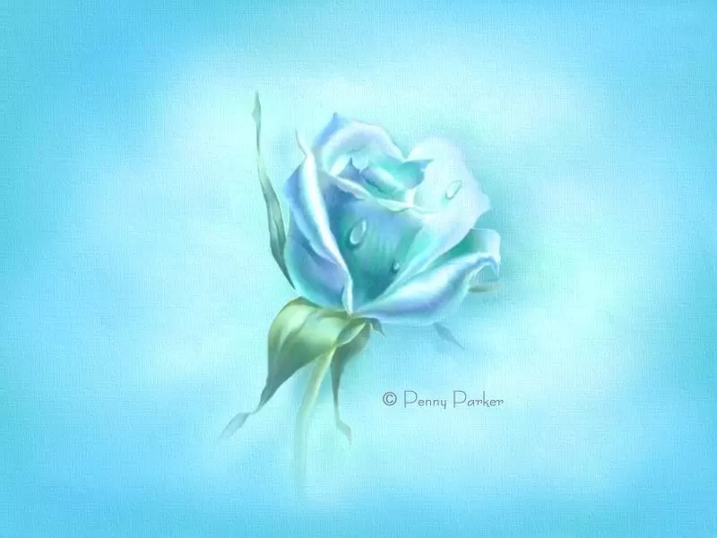 Прекрасный мир Penny Parker