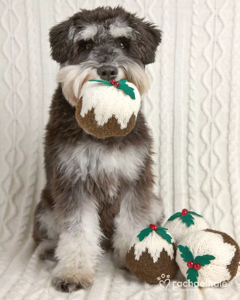 Пушистый мир Rachael Hale