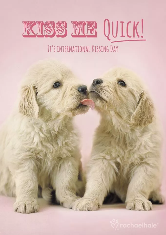 Пушистый мир Rachael Hale