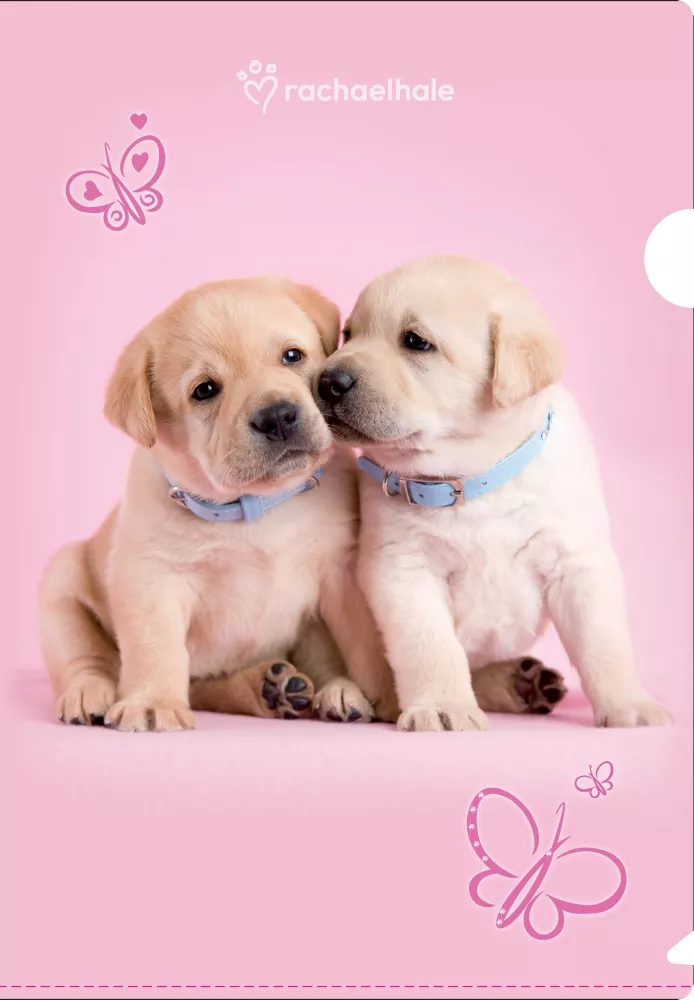 Пушистый мир Rachael Hale