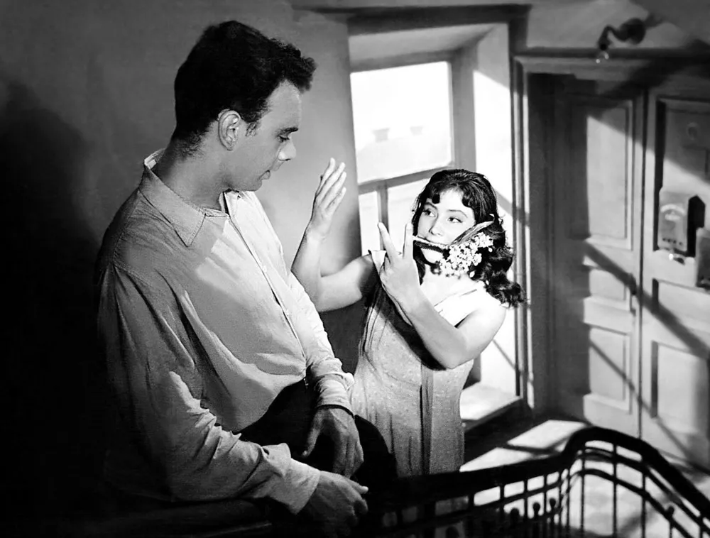 Летят журавли