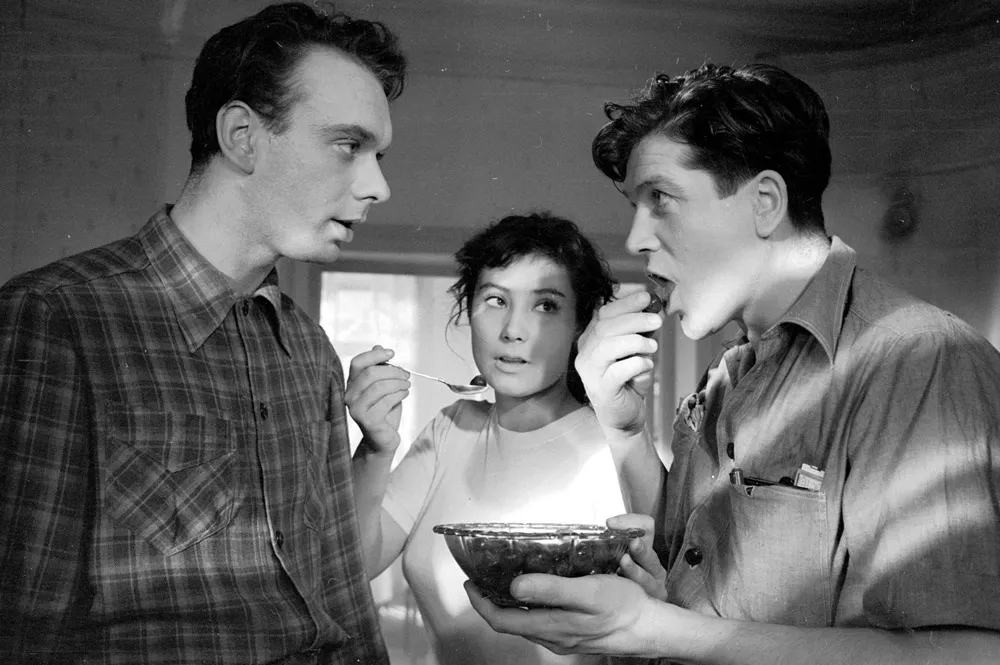 Летят журавли