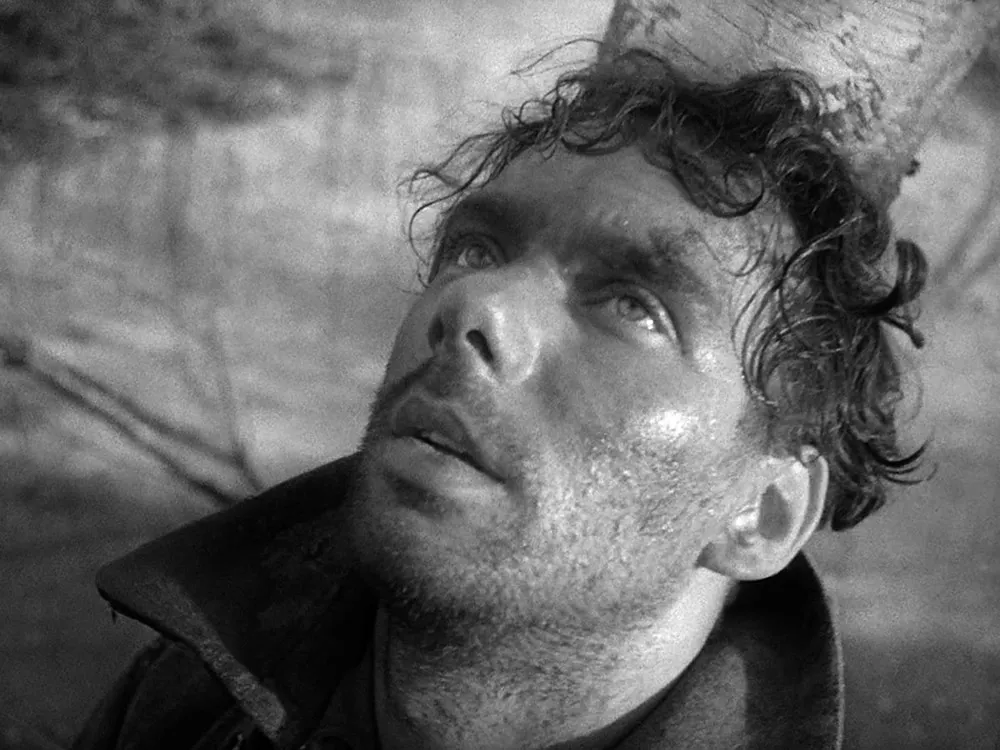 Летят журавли