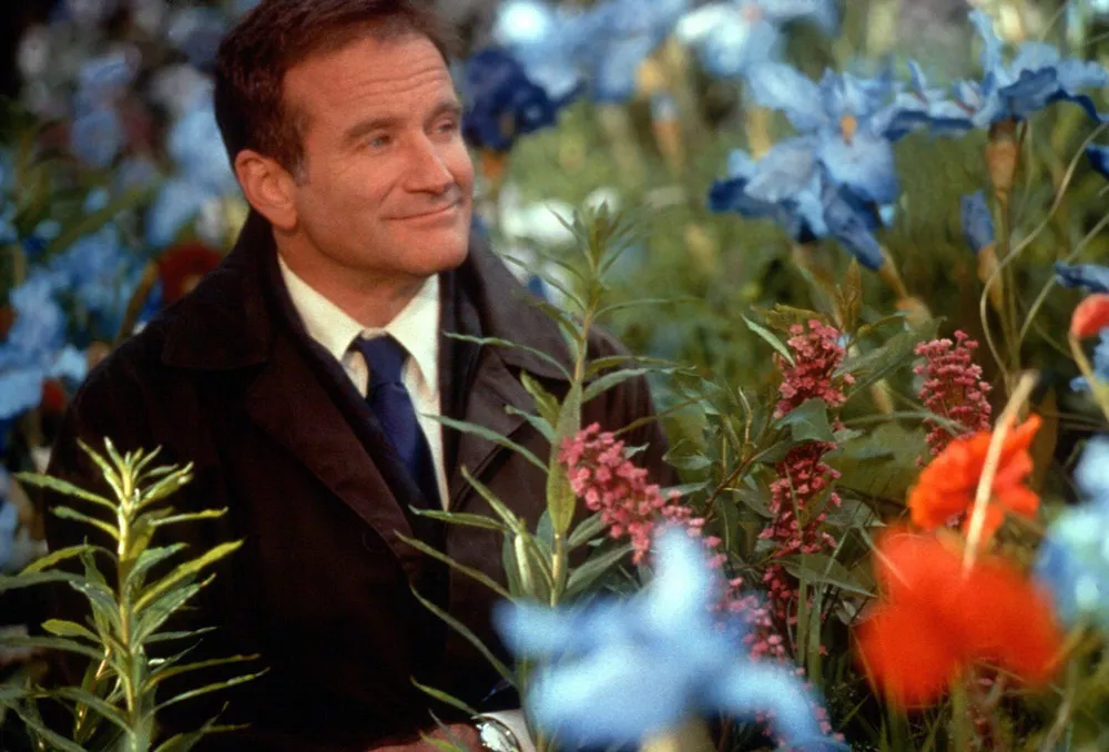 Куда приводят мечты