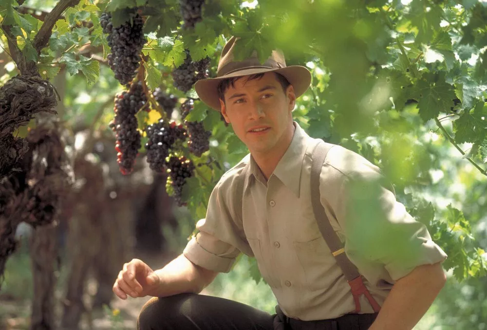 Прогулка в облаках