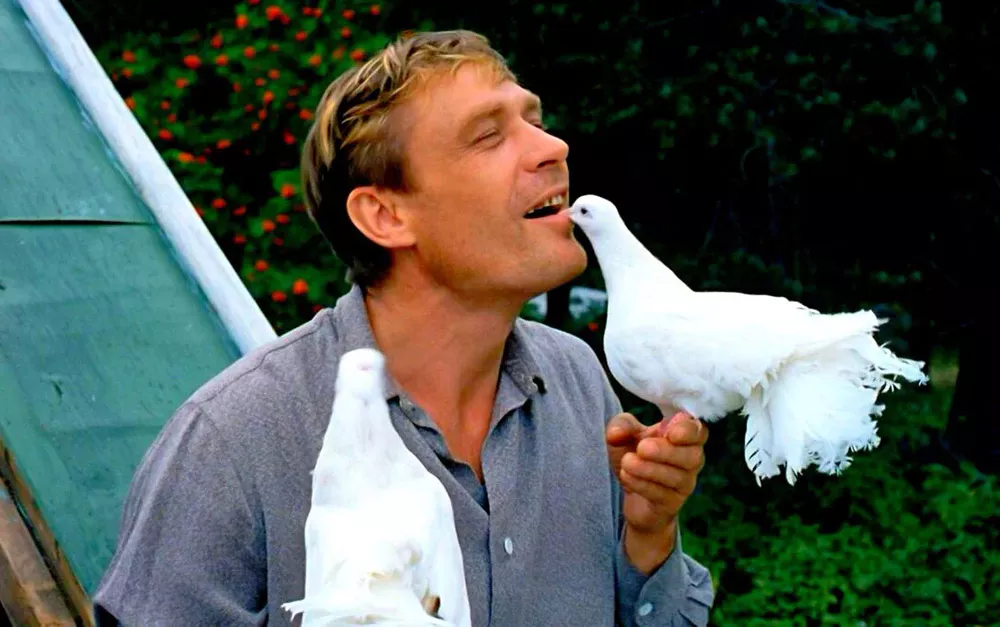 Любовь и голуби