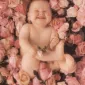 Фотографии детей Anne Geddes