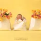 Фотографии детей Anne Geddes