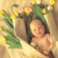 Фотографии детей Anne Geddes