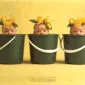 Фотографии детей Anne Geddes