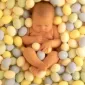 Фотографии детей Anne Geddes