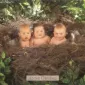 Фотографии детей Anne Geddes